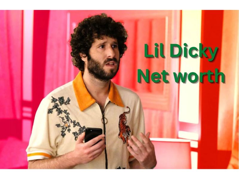 What Is The Net worth Of Lil Dicky?